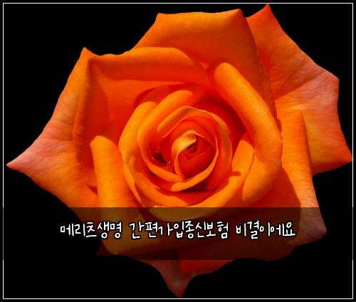 메리츠생명 간편가입종신보험 비결이에요 