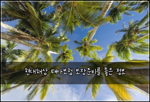 νλν΄μ νμ보ν 보μ₯μ€λΉλ₯Ό μ’μ μ 보