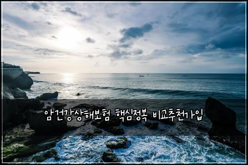 ์๊ฑด๊ฐ์ํด๋ณดํ ํต์ฌ์ ๋ณต ๋น๊ต์ถ์ฒ๊ฐ์
