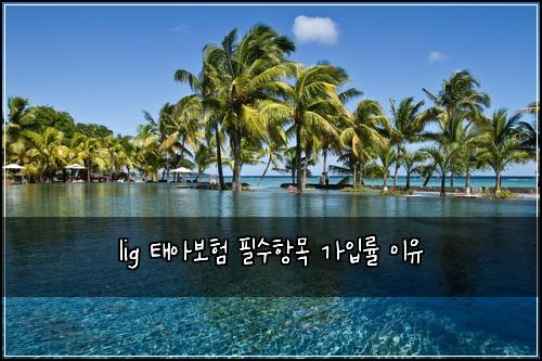 lig ํ์๋ณดํ ํ์ํญ๋ชฉ ๊ฐ์
๋ฅ ์ด์