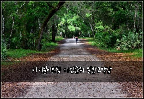 아이실비보험 가입순위  일반고액암