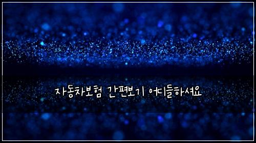 자동차보험 간편보기  어디들하셔요
