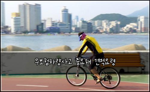 무보험차량사고 중요해 견적요령