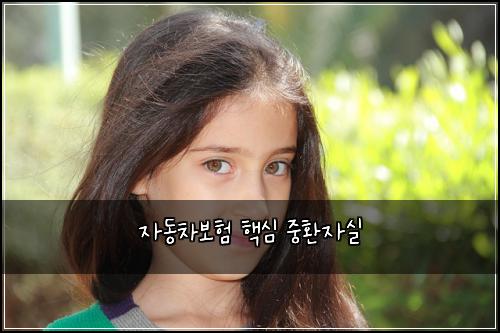 자동차보험 핵심  중환자실