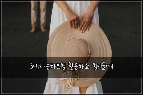 3대자동차보험 활용하죠  힘이들때