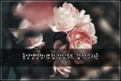 ๋์์๋ช
์ ๊ธฐ๋ณดํ ์๋ด๋ฃจํธ ๊ฐ์์ค๋ฌ์ด