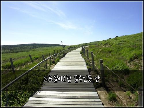 의료실비보험 필수인듯  암