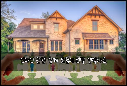 인라인 관련 상해 보험의 선택 견적자료