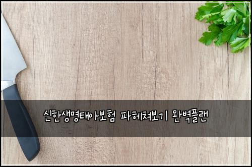 신한생명태아보험 파헤쳐보기  완벽플랜