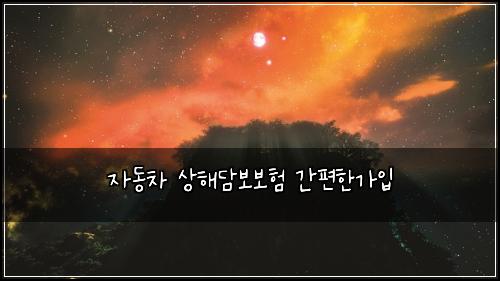 자동차 상해담보보험 간편한가입 