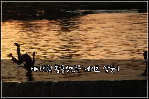 ํ์๋ณดํ ํ์ฉ๋ฐฉ์์ ๋ฉ๋ฆฌ์ธ ์๋ฅ์ด