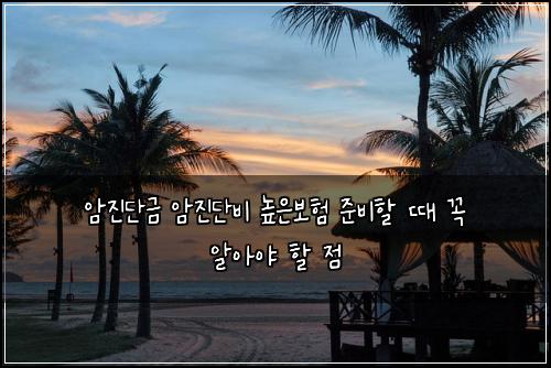 암진단금 암진단비 높은보험 준비할 때 꼭 알아야 할 점
