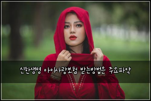신한생명 아이사랑보험 받는방법은  주요파악