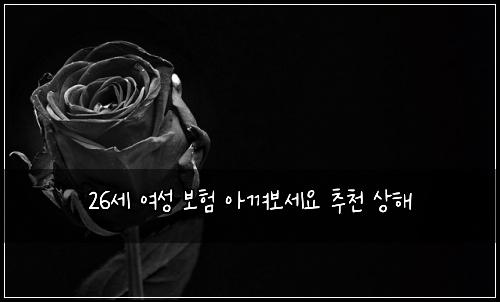 26세 여성 보험 아껴보세요  추천 상해
