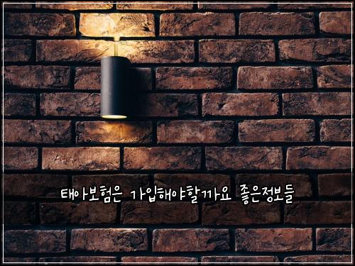 ํ์๋ณดํ์ ๊ฐ์
ํด์ผํ ๊น์ ์ข์์ ๋ณด๋ค