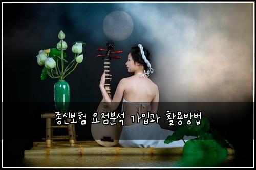 종신보험 요점분석  가입과 활용방법