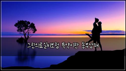 그린의료실비보험 특약이란  동부상해