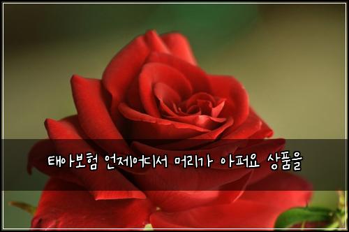 ํ์๋ณดํ ์ธ์ ์ด๋์ ๋จธ๋ฆฌ๊ฐ ์ํผ์ ์ํ์