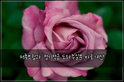 저축보험과 정기적금 도와주실분 바로계산