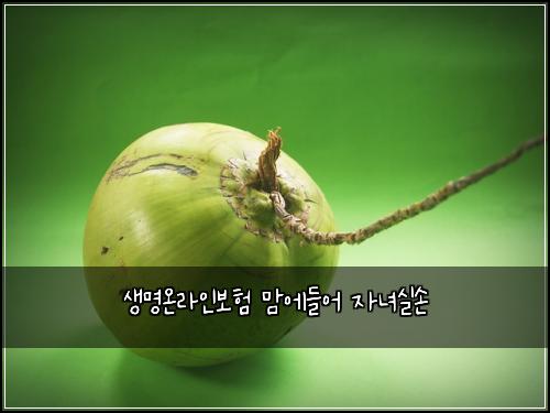 생명온라인보험 맘에들어  자녀실손