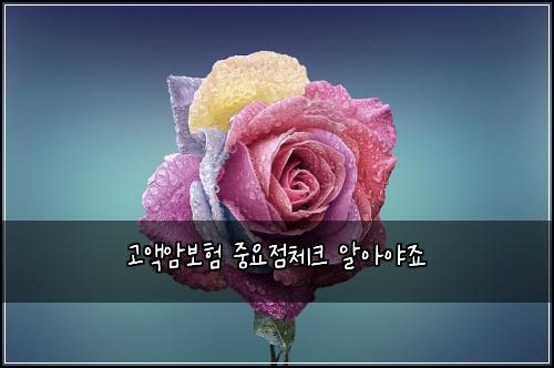 κ³ μ‘μ보ν μ€μμ μ²΄ν¬ μμμΌμ£