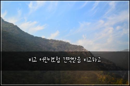 비교 어린이보험 견적받음  비교하고