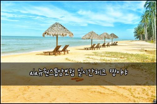 aiaλ΄μμ€ν±μ보ν μ€μκ°μ²΄ν¬ μ§±μ΄μΌ