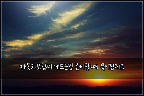 자동차보험싸게드는법 준비할때 특이점체크
