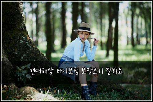 현대해상 태아보험 보장보기  잘봐요