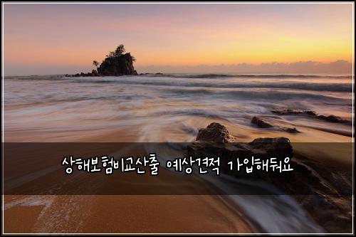 ์ํด๋ณดํ๋น๊ต์ฐ์ถ ์์๊ฒฌ์ ๊ฐ์
ํด๋ฌ์