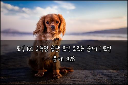 ํ ์ต RC ๊ณ ๋์ ์ต๊ด ํ ์ต ๋ชจ๋ฅด๋ ๋ฌธ์ : ํ ์ต ๋ฌธ์ #28