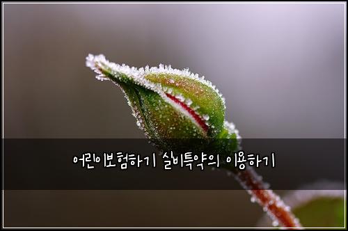 어린이보험하기 실비특약의 이용하기