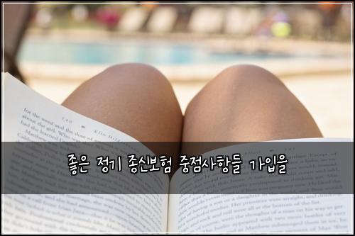 좋은 정기 종신보험 중점사항들  가입을