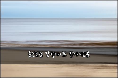 ์ข
์ ๋ณดํ ๊ฐ๋ ฅ์ฌ์ดํธ ์์์๋๋ถ