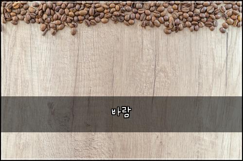 바람