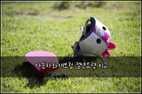 ์๋์ฐจํ์ฌ๋ณดํ ์ ์ฝ์๋ น ๋น๊ต