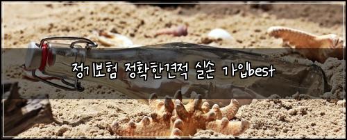 정기보험 정확한견적  실손 가입best