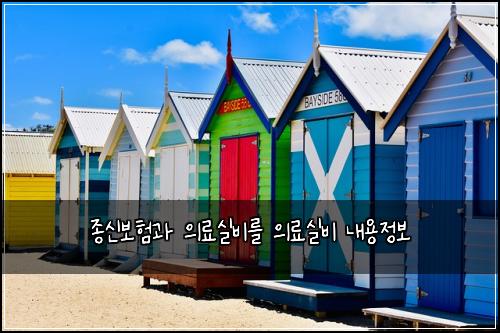 종신보험과 의료실비를 의료실비 내용정보