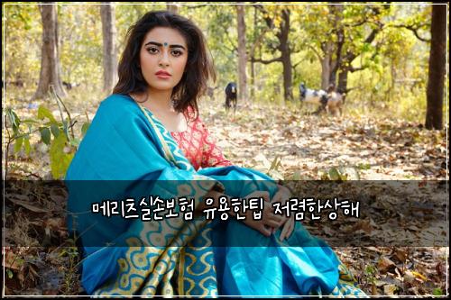 메리츠실손보험 유용한팁  저렴한상해