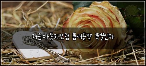 μ²μμλ차보ν νμκ³΅λ΅ νΉλ³μΈν