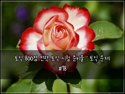토익 800점 전략 토익 시험 준비물 : 토익 문제 #78