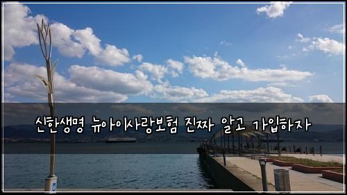 신한생명 뉴아이사랑보험 진짜 알고 가입하자