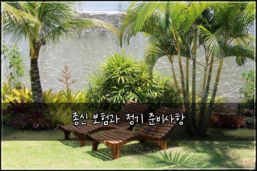 종신 보험과 정기 준비사항