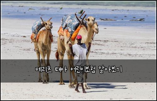메리츠 태아 어린이보험 알아보기