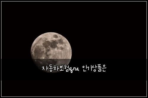 자동차보험qna 인기상품은