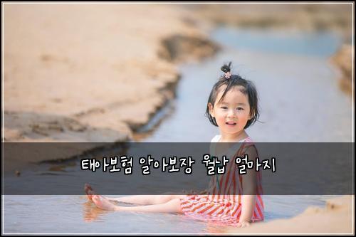 태아보험 알아보장  월납 얼마지