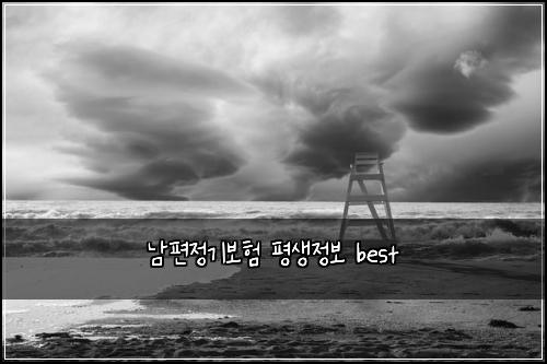 남편정기보험 평생정보  best