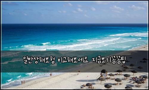 일반상해보험 비교해보세요  지금보기꼼꼼팁