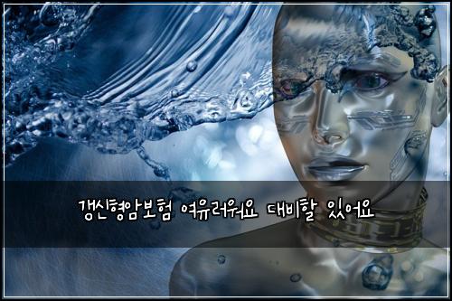 κ°±μ νμ보ν μ¬μ λ¬μμ λλΉν μμ΄μ