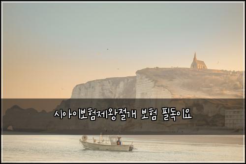 시아이보험제왕절개 보험 필독이요